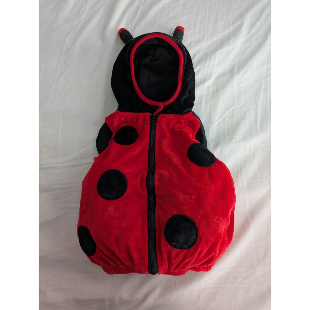 Ladybug Halloween Costume, 12m